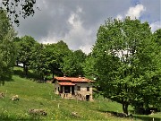 MONTE ZUCCO ad anello via linea tagliafuoco dalla Pernice (26magg22)- FOTOGALLERY